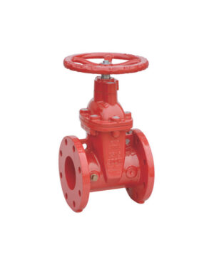 Flanged NRS gate valve
