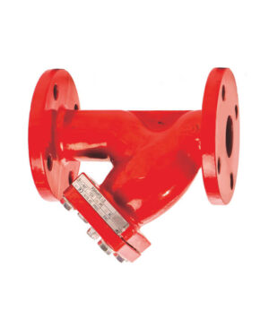 Flanged Y type strainer