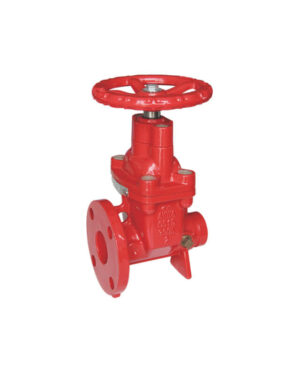 Flanged x Grooved NRS gate valve
