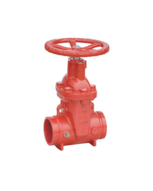 Grooved NRS gate valve