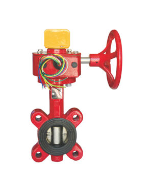 Lug butterfly valve (Gear actuator & tamper switch)