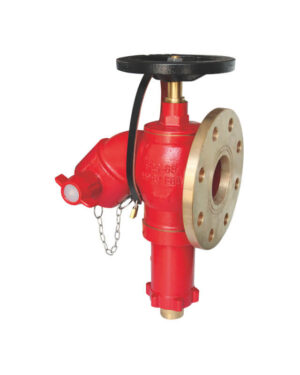 Bib-nosed high pressure wet landing valve (PRV)