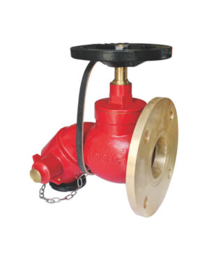 Bib-nosed type wet landing valve