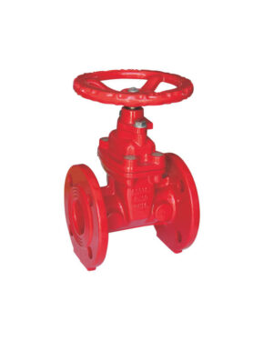 Flanged NRS gate valve