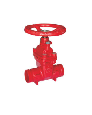 Grooved NRS gate valve