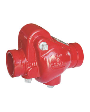 Grooved swing check valve