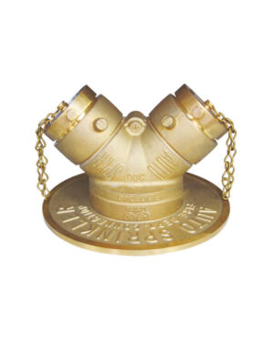 Exposed fire department inlet connection (FDC)