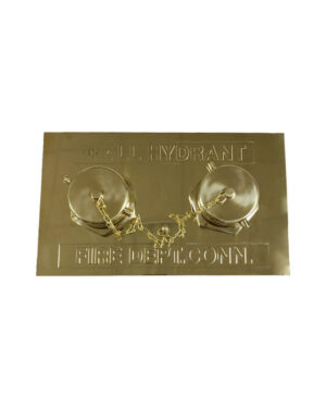 Flush fire department outlet connection (FDC)