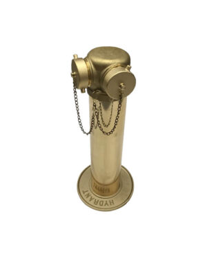 Freestanding fire department outlet connection (FDC)