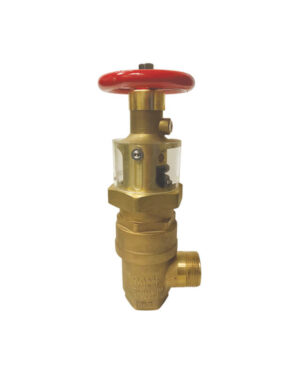 Field adjustable pressure reducing valve (WP300)