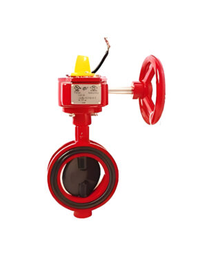 Butterfly Valve