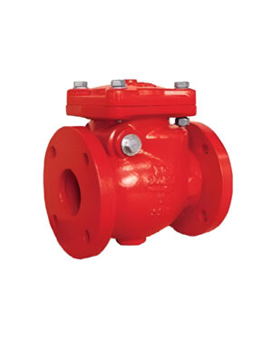Check Valve