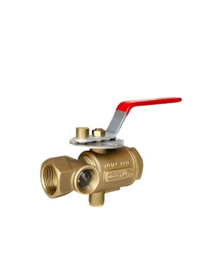 Test and Drain Valves