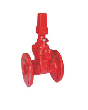Flanged NRS gate valve with stem cap