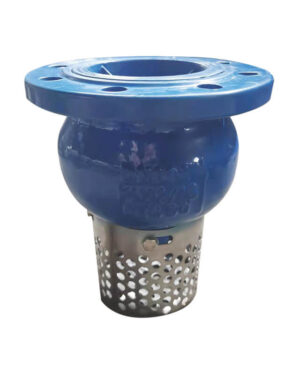 Foot valve