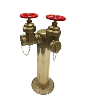 Freestanding fire pump test connection