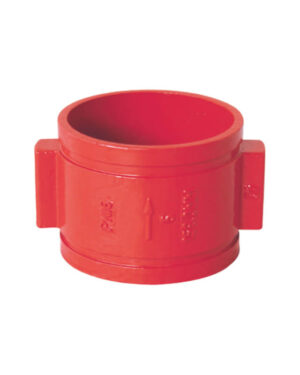 Grooved double door check valve