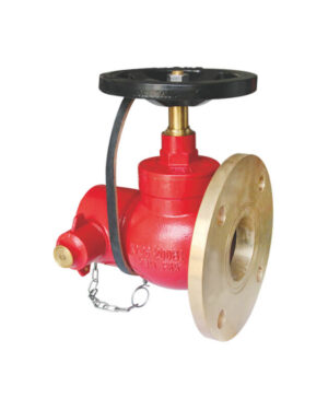 Horizontal type wet landing valve