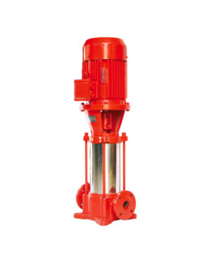Jockey pump