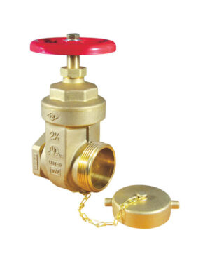 Straight hose gate valve