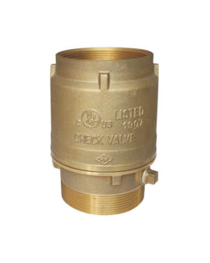 Swing check valve