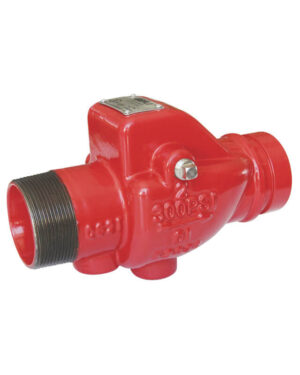 Threaded swing check valve