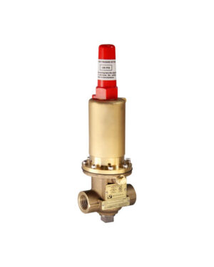 Pump casing relief valve