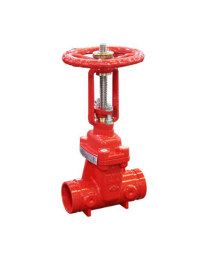 Grooved OS&Y gate valve